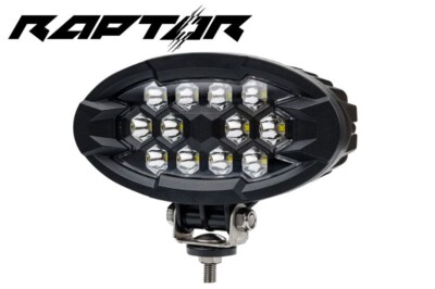 Arbeitsleuchte LRD 3169 RAPTOR